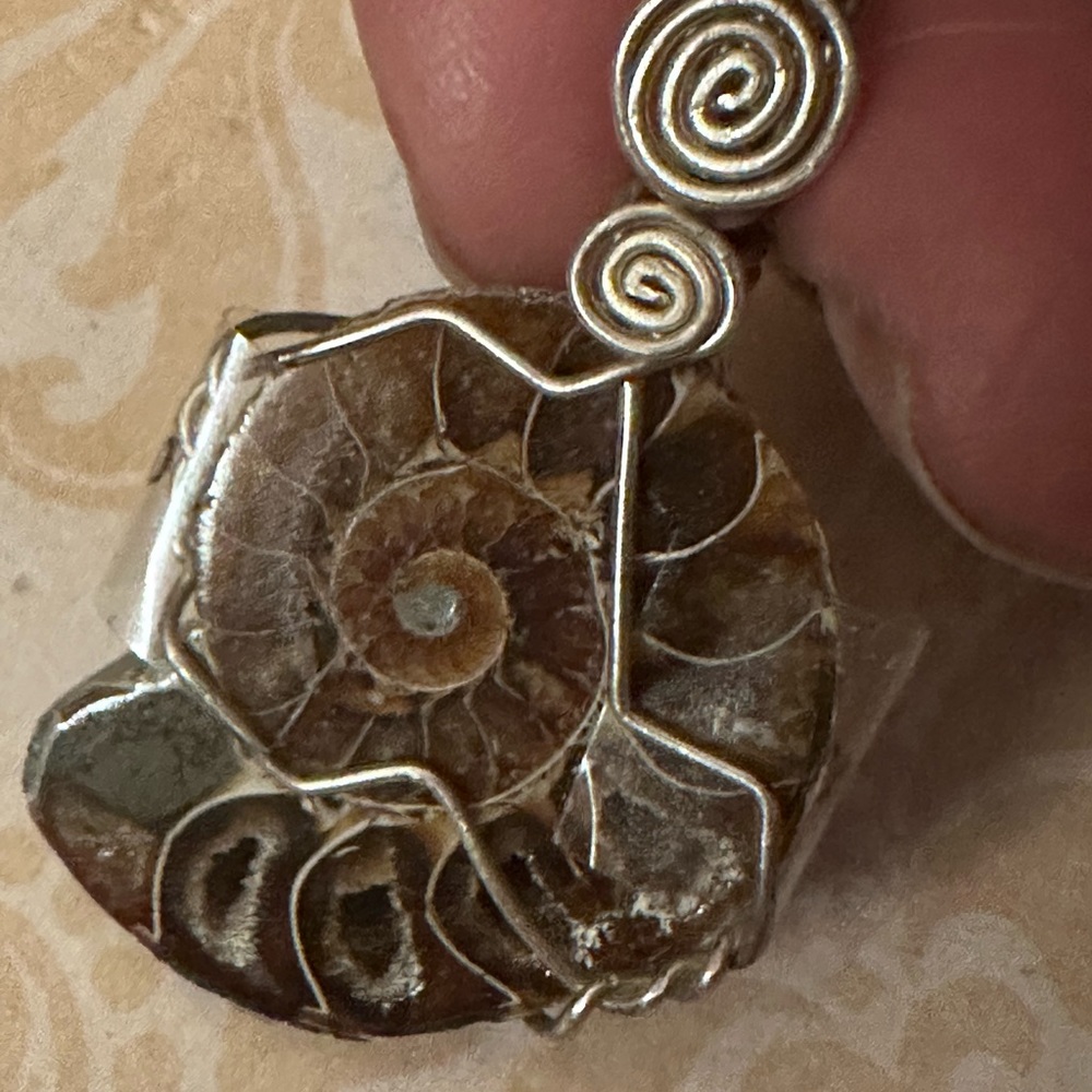 Ammonite Pendant Wrapped in Sterling Silver